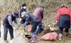 보성군 노동면, 깨끗한 우리 동네 만들기 내가 먼저!