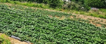 목포시, 투명하고 효율적인 농지원부 일제정비 실시