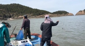 신안군, 지역특성 맞춤형 수산자원조성 박차