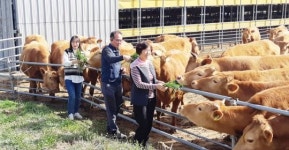해남군 만희농장, 전국1호 한우 동물복지축산농장 인증