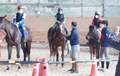 함평군청소년지원센터꿈드림 청소년 직업체험 “부모와 함께하는 승마체험”