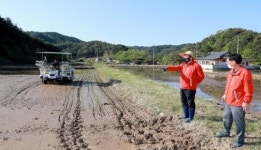 울진에서 올해 첫 모내기