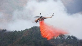 전북 무주군 무풍면 금평리 산불 발생