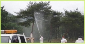 전북도, 외래 및 돌발 산림병해충 방제 총력