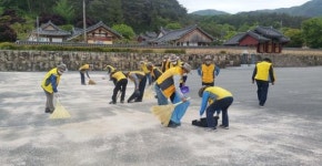 곡성군 목사동면 용산단지킴이, 코로나19에도 환경정비