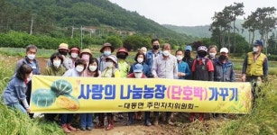 함평군 대동면 주민자치위원회, 사랑의 단호박 심기 행사 가져