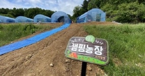 농촌에서 쉼표하나 ‘캠핑농장’ 인기몰이 중