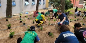 전남 목포시 부흥동, 둥근공원 수국 심어 볼거리 마련