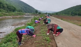 신덕면 새마을 부녀회∙생활개선회, 농촌의 아름다움 가꾸다