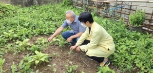 전남 장성군, 치매 환자 돕는 ‘공공후견인’ 서비스 제공