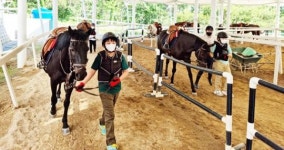 전남 영광군, 영광 승마장에서 ‘학생승마체험’프로그램 운영