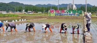 전남 장흥군 농업기술센터 “벼 병해충 예찰답 55품종, 37주 손모내기”