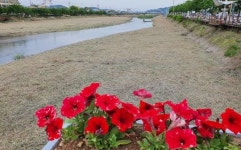 전남 보성군 벌교읍, 민관합동 깨끗한 지역 만들기 구슬땀