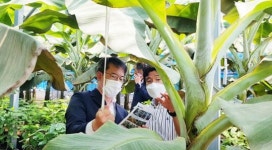 전남농협, 신소득 아열대농산물 재배농가 현장경영