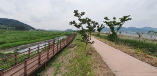 전남 무안군, 남창천 자전거도로 환경정화활동 실시