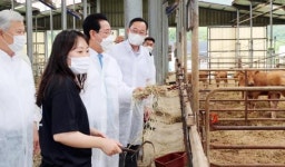 김영록 전남도지사, 전국 첫 동물복지축산 한우농장 살펴