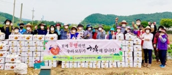 전남 여수시 주삼동 지역사회보장협의체, ‘사랑의 농장’ 감자 수확 나눔