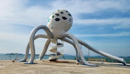 전남 무안군, 망운면 송현리 노을길 야영장 정식 개장