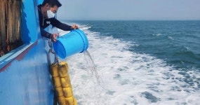 전남 영광군, 어린 꽃게 방류로 풍요로운 칠산바다 만든다
