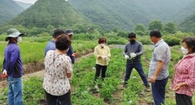 전남 장흥군 유치면, 수국 재배 희망농업인 현장교육 실시