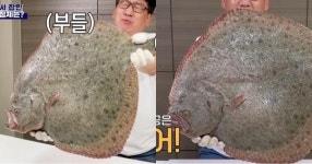 8kg 무게 남자 몸통 크기... 우리나라에 살지도 않는 괴물 물고기 서해에서 잡혔다 (영상)