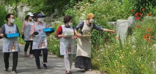 전남 화순 허브뜨락, 치유농업으로 지역사회에 공헌
