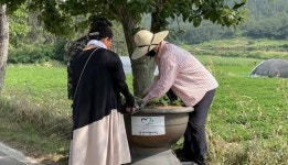 고창군 상하면, 구시포해수욕장 개장 맞이 도로변 꽃 식재