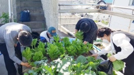 광주시 동구 지산1동, 1인 가구 “옥상에서 직접 채소 키워요!“