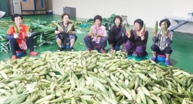 전남 강진군 군동면 화방마을, 공동농장운영으로 활력 찾아