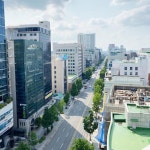 광주시, ‘걷고 싶은 가로숲길’ 동구 금남로 확정