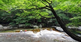 무주군, 구천동 어사길 탐방로 복원사업 마무리