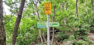 전남 진도군, 의신면 남망산 등 21개소 ‘국가지점번호판’ 설치