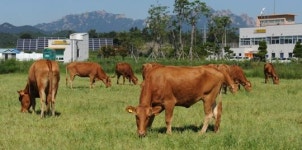 전남도농업기술원,축산 스마트 팜 컨설팅 전문가 시스템 개발 선도