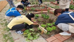 맞춤형 치유농업 체계적 육성