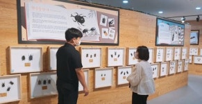 전남 영암군, 우리가족  곤충 탐사대 모집