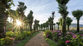 장성 황룡강 은행나무 수국길,적극행정 우수사례 선정!