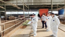 정읍시, 맞춤형 종합컨설팅으로 한우농가 어려움 해결