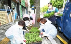 [포토]광주시 남구 봉선1동 통장단 협의회, 꽃피는 마을 만들기 봉사