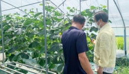 광주시 각화농산물시장, 추석맞이 농산물 확보 노력