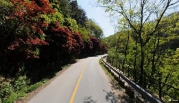 국지도 60호선(주천 호경 ~ 고기) 개량사업 확정