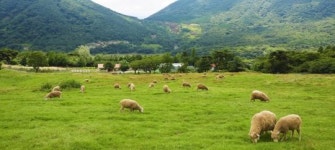 전남서 가을바람 쪽빛바다 노을빛 만끽하세요