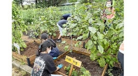 곡성군, 학교 텃밭정원 가꾸기 생태 감수성 쑥쑥