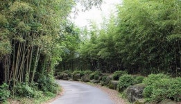 ‘익산 둘레길’ 3개 대표코스로 거듭나다.