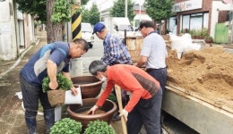강진군 도암면 장촌마을, 꽃길로 코로나 블루 극복해요