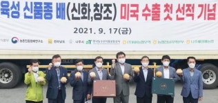 전남농협, 나주배 신품종 첫 수출로 미국 시장 확대 나서