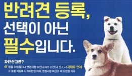 정읍시, “반려동물 등록, 선택이 아닌 필수입니다”