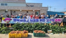 고창군 흥덕면 주민자치위, 고구마 수확해 불우이웃 돕기