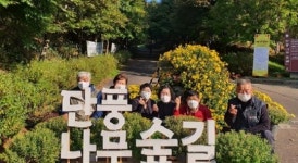 독립기념관 단풍나무숲길에 국화꽃 포토존 설치