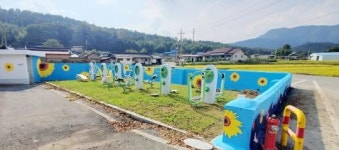 강진군 작천면 박산마을, 활짝 핀 해바라기 보러 오세요