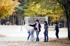 [포토]광주시 북구, 일곡 제1근린공원 단풍 절정